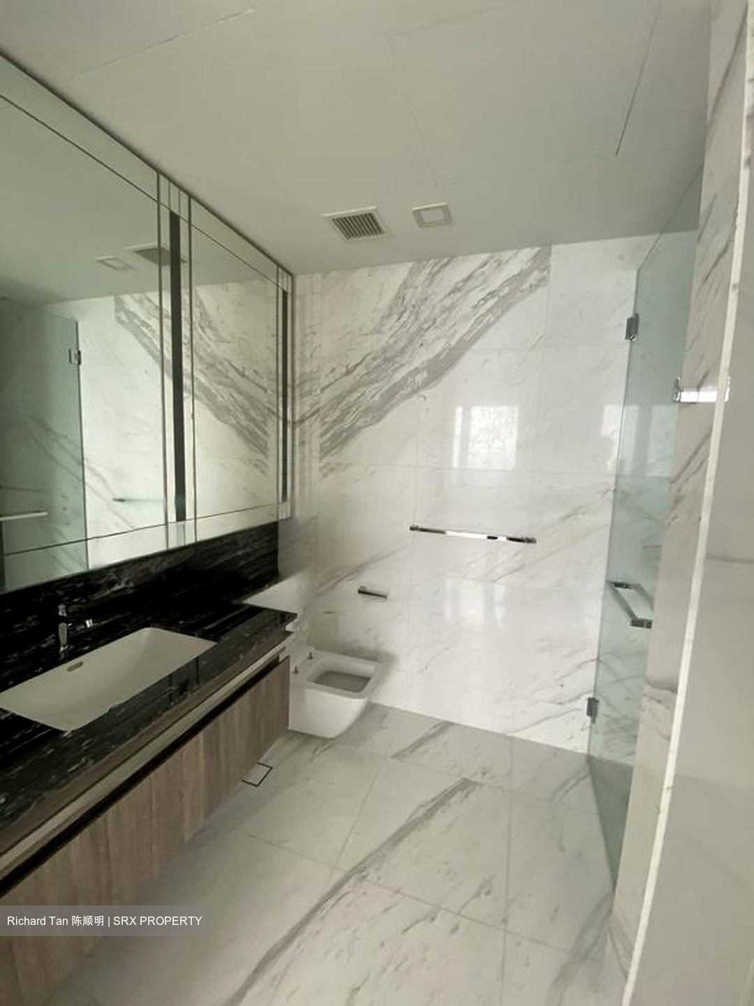 Wallich Street (D2), Condominium #471676531